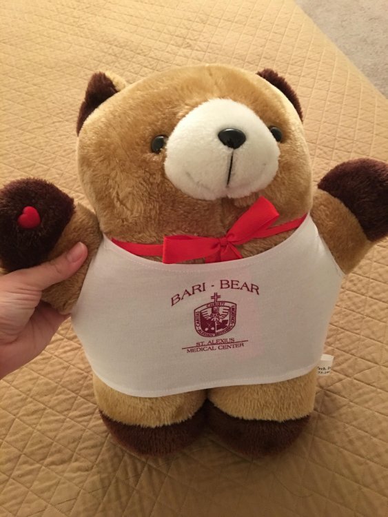 bari-bear.jpg