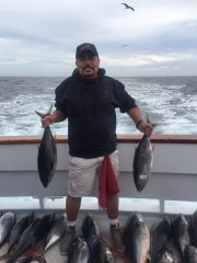 Got Tuna?