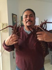 Lobster.jpg
