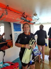 Snorkeling in the South Pacific
