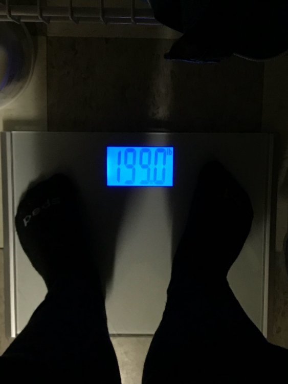IMG_9072.thumb.JPG.313c5438a8ef1c74aa9a773f3aa1e1ae.JPG