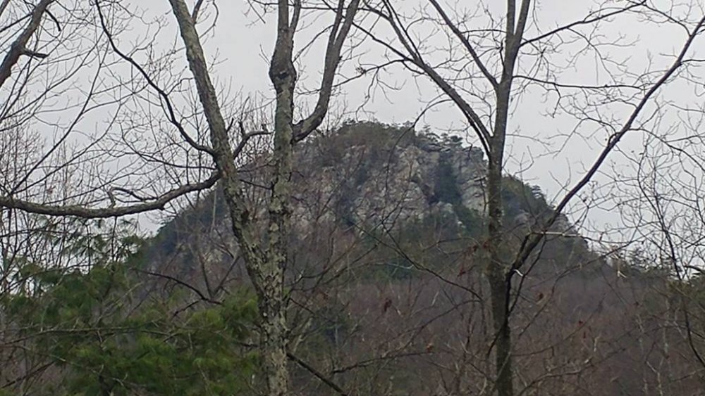 20180127_111901.jpg