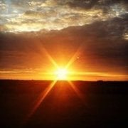Sunn