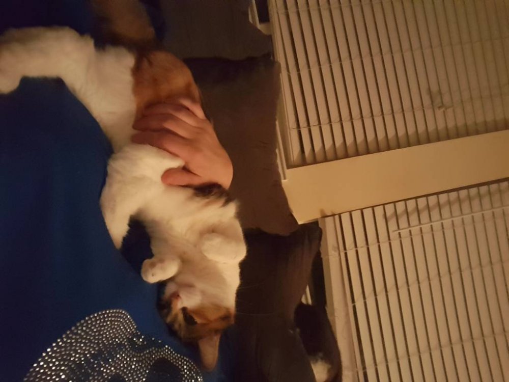 20180122_205418.jpg