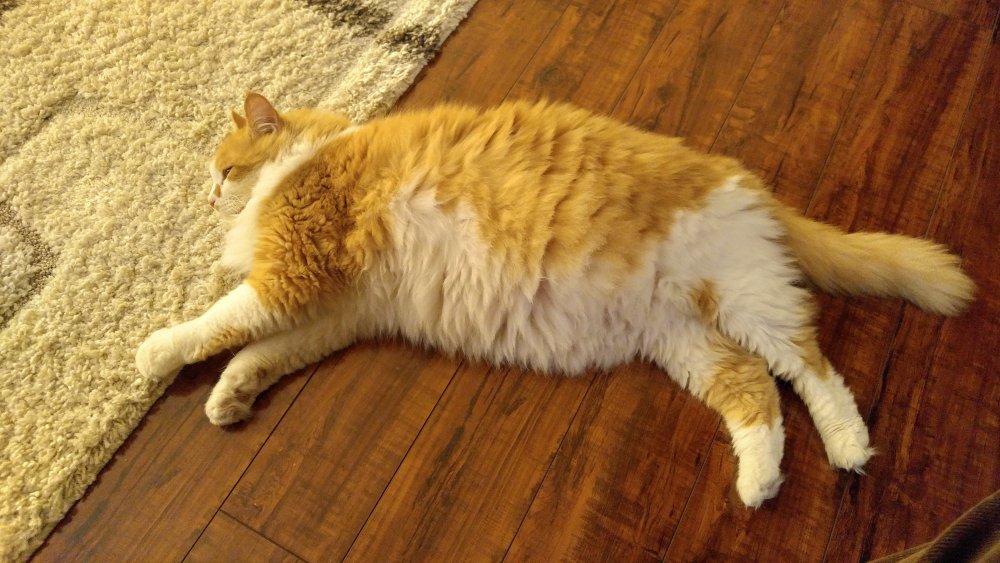 20180127_234730_HDR.jpg