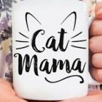 CatMama210