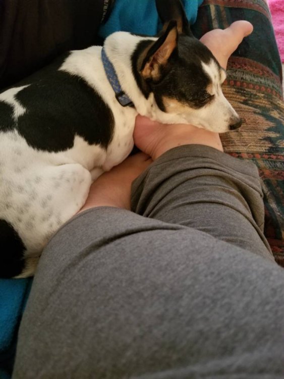 20180311_140907.jpg