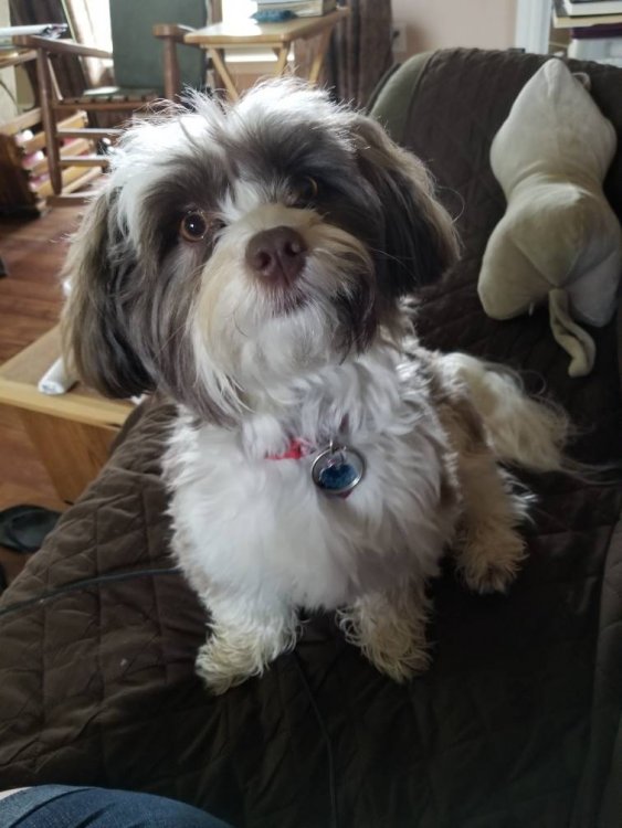 20180402_093252.jpg