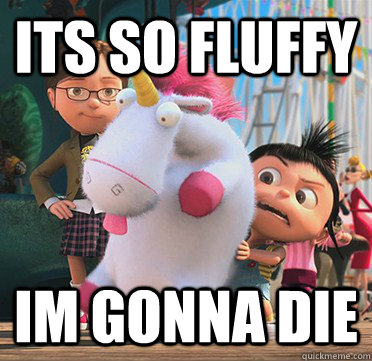 its-so-fluffy.jpg.ad59c6f1fe83358418df9f525fe32672.jpg