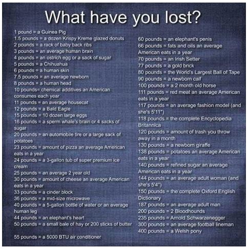 what-have-you-lost.JPG.6d37c8fe533c128cf56b8e8d53663b98.JPG