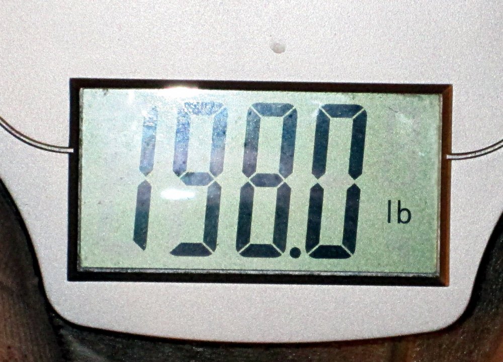 198.JPG