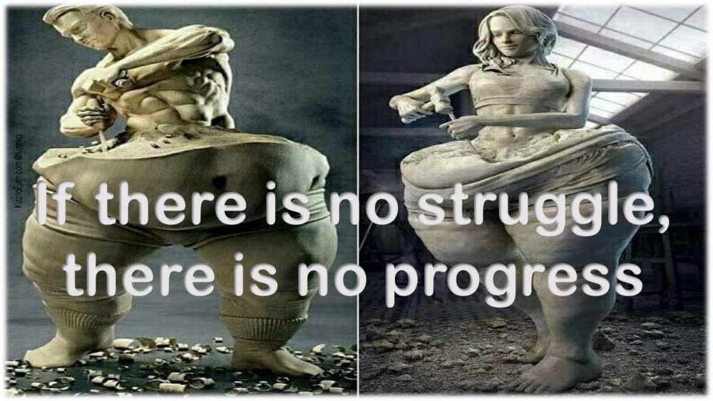 progress.jpg