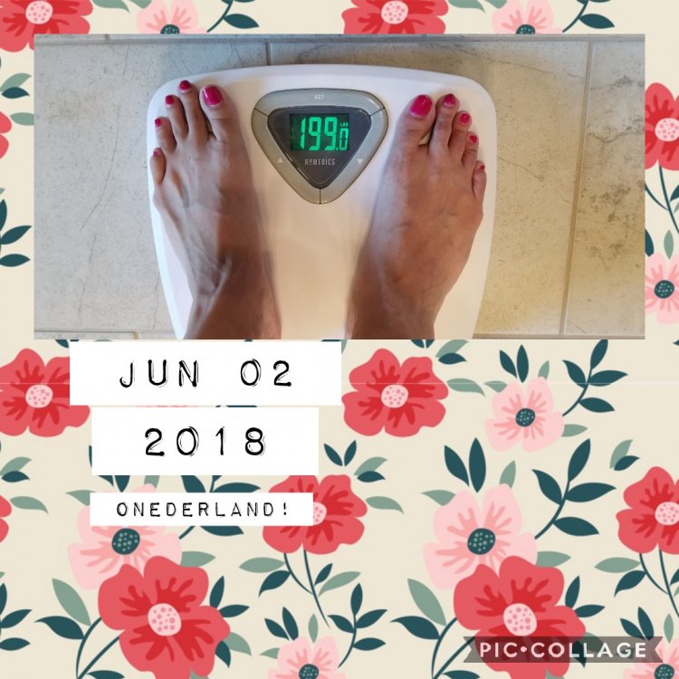 Collage 2018-06-02 08_25_25.jpg