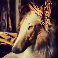5b2298370b1b0_FreyaArt.jpg.c1a557d4f2d9def5290040a344b6869e.jpg