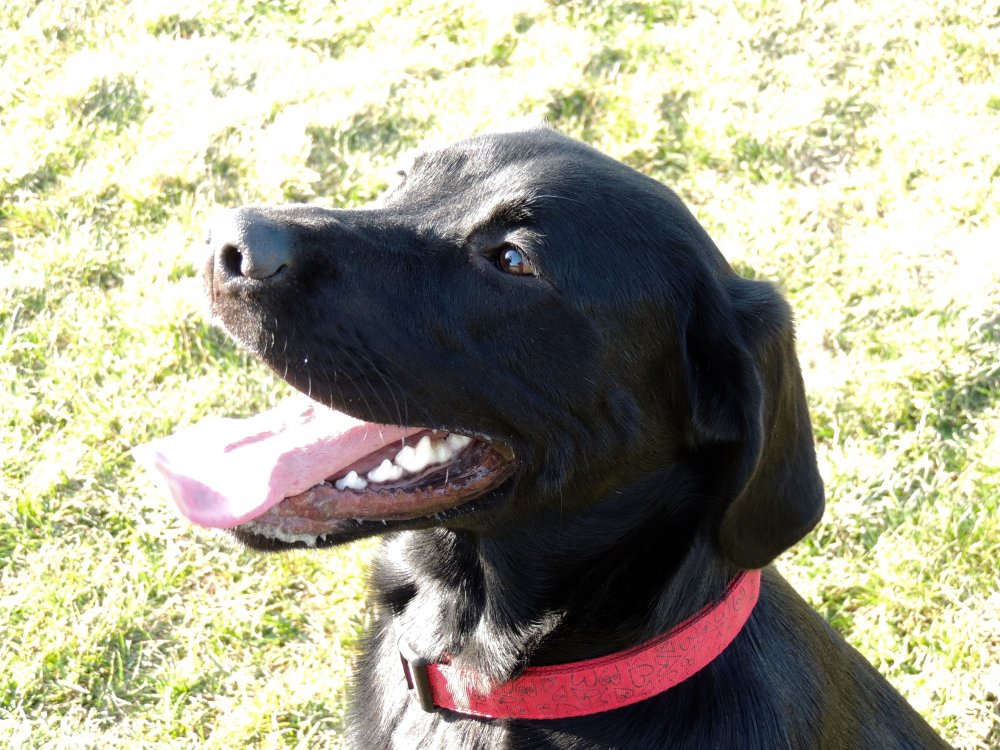 Cooper Profile.JPG