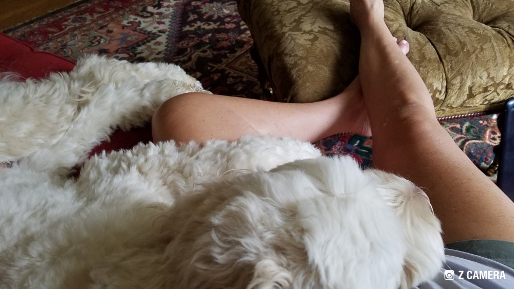 murphy sleep.jpg