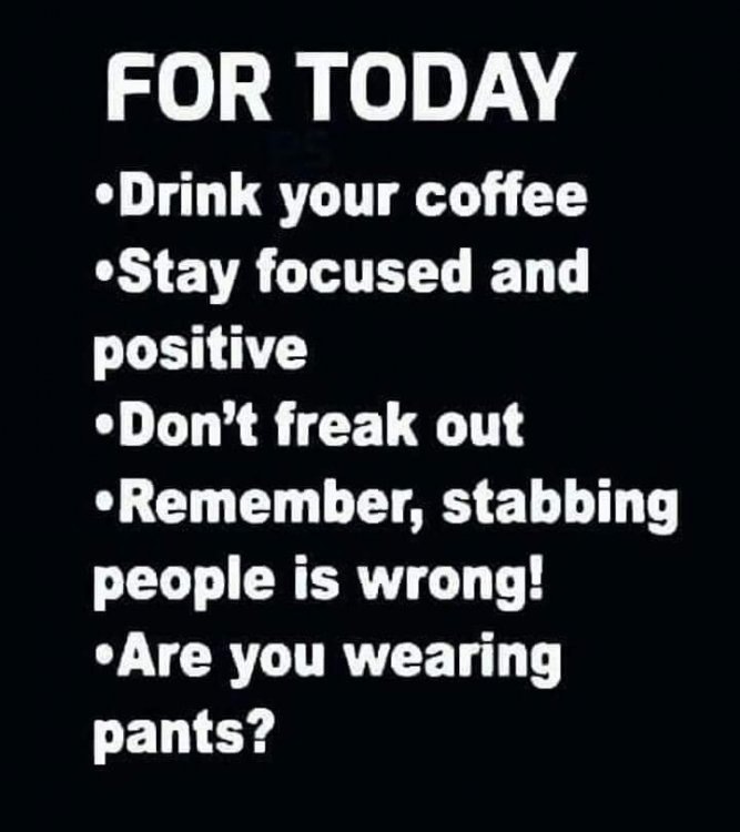 FB_IMG_1535370813339.jpeg