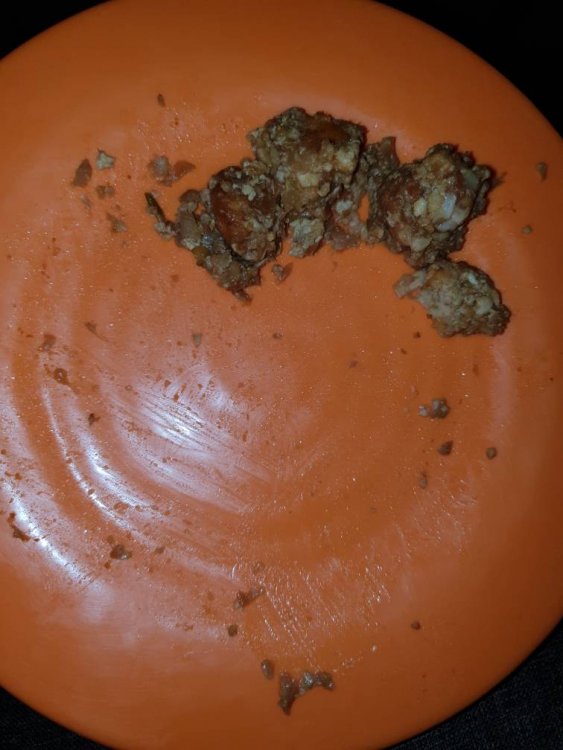 20180912_145741.jpeg