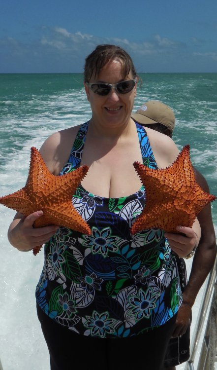 100214 Starfish Bra.JPG