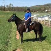 Myhorseisfattoo