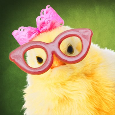 LargeBowChik_Headshot.jpg.33fa6e3cb981f15bea5368a9d8b4c727.jpg
