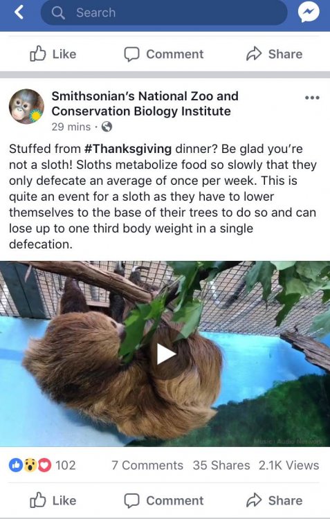 image-0.0019073486328125.jpg