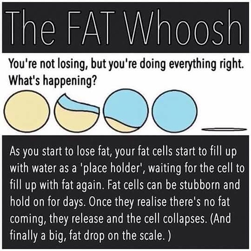 Whooshes and Stalls - Why weight loss isn't linear