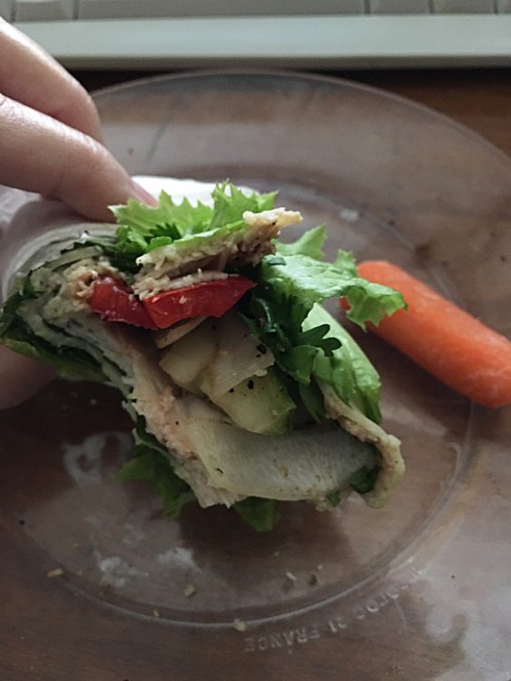 turkey-cheese-veggie-wrap-after-web_3707.thumb.jpg.7862053602ea330a29fe551f628da088.jpg