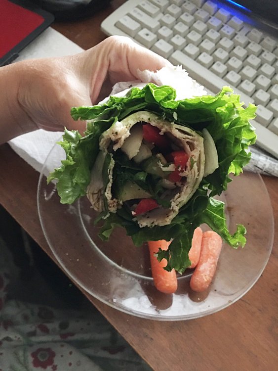turkey-cheese-veggie-wrap-before-web_3701.thumb.jpg.719ad517cdf1ef524b7631bab4e28fda.jpg