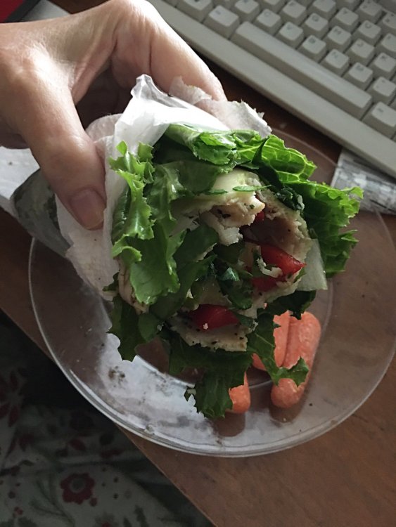turkey-cheese-veggie-wrap-before-web_3702.thumb.jpg.b15c556502acdb4af22e8ccac4a024ee.jpg
