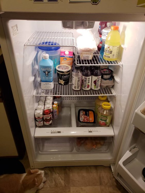 20190105_171913.jpeg