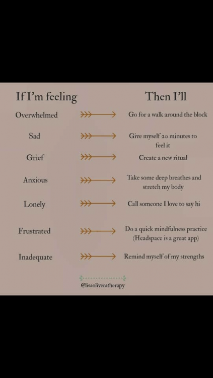 image.thumb.png.fa33d159808420fe837757c9d8e00f0e.png