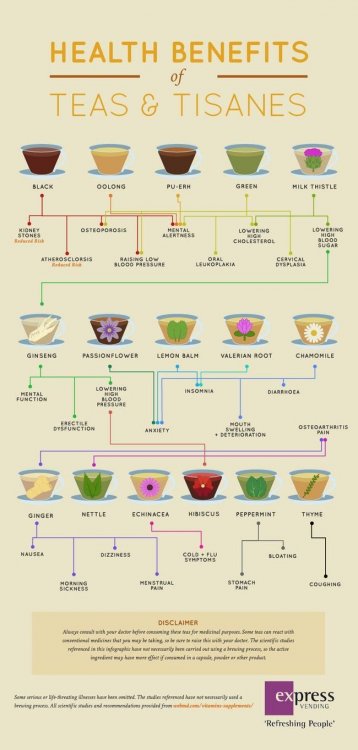 Infographic shows the health benefits of teas and tisanes.jpeg
