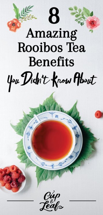 5b22bb887ac6055318219f94_8 Amazing Rooibos Tea Benefits You Didn’t Know About pin.jpg