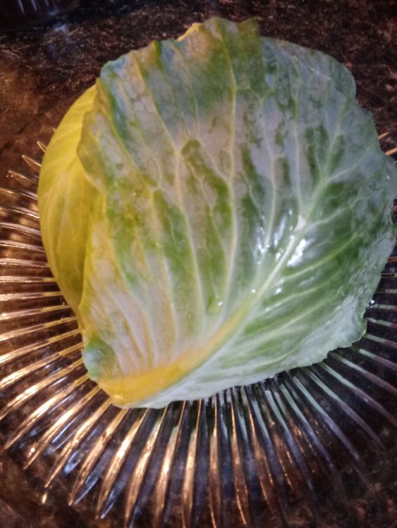 20190312_114443.jpg