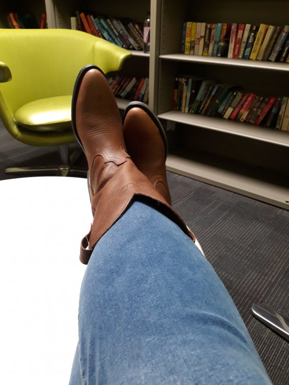 20190315_132536.jpg