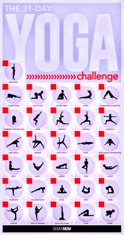 31-Day Yoga Challenge~4.jpeg