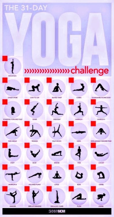 31-Day Yoga Challenge~4.jpeg