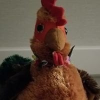 Moa