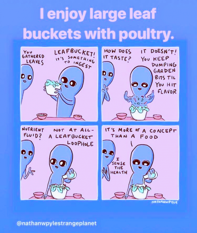 Screenshot_2019-04-08-17-54-01~2.png