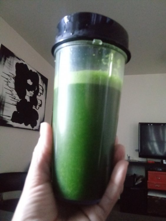 20190409_104703.jpg