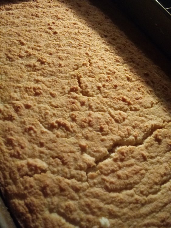 20190412_190810.jpg
