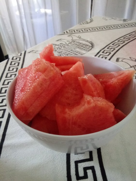 20190422_145904.jpg