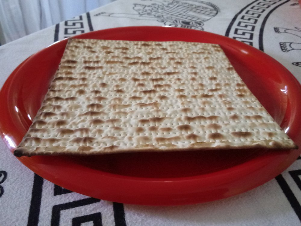 20190422_150138.jpg