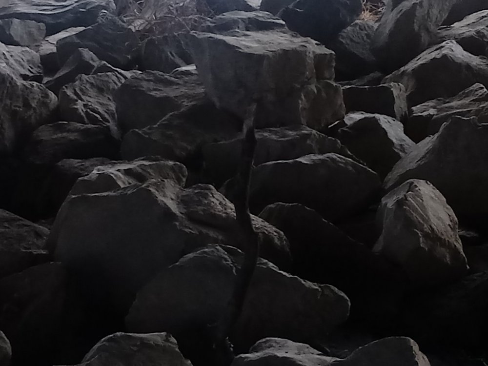 20190422_191259.jpg
