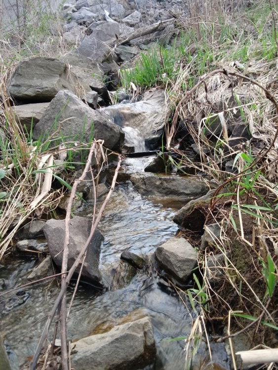 20190422_191527.jpg