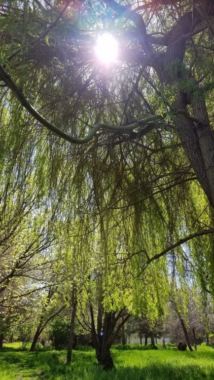 20190423_120433.jpg