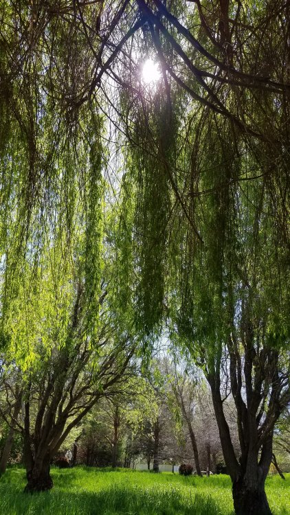20190423_120740.jpg