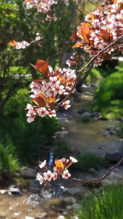 20190423_122819.jpg