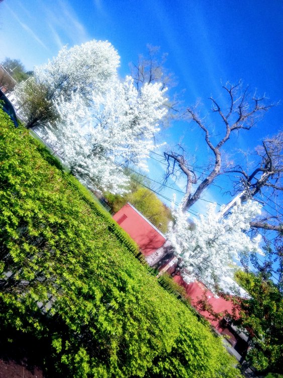 20190425_150303.jpg